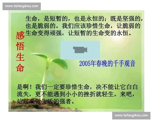 胜负之外:坚守与热爱的永恒力量 胜负之外:坚守与热爱的永恒力量